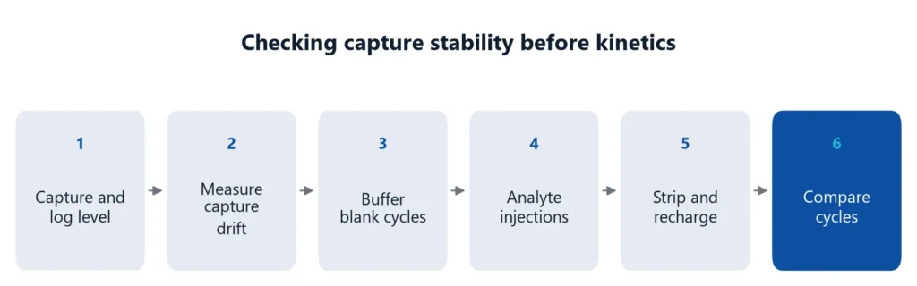 Six-step flow for checking His-tag capture stability, from capture and drift measurement to blank cycles, analyte injections and cycle comparison