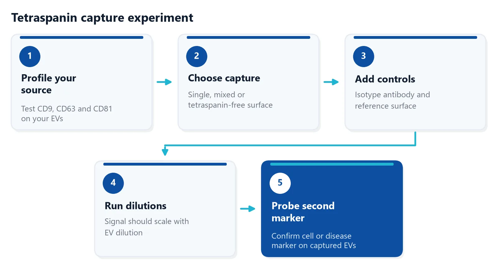 Five-step workflow for an EV capture experiment: profile source, choose capture, add controls, run dilutions, probe a second marker